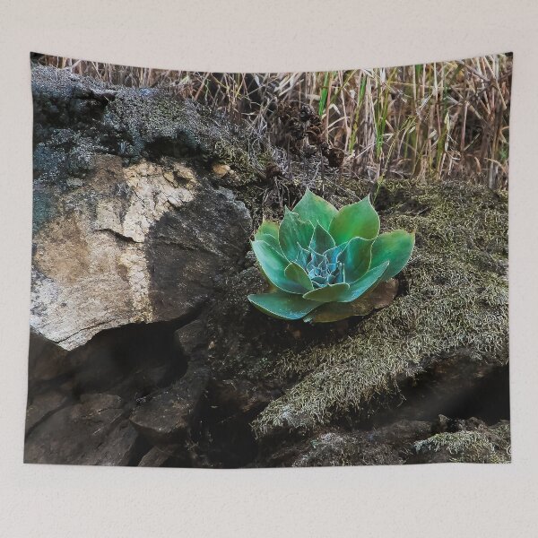 Item preview, ALONE designed and sold by heatherfriedman.