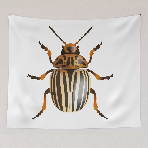 Item preview, Beetle designed and sold by dcohea.