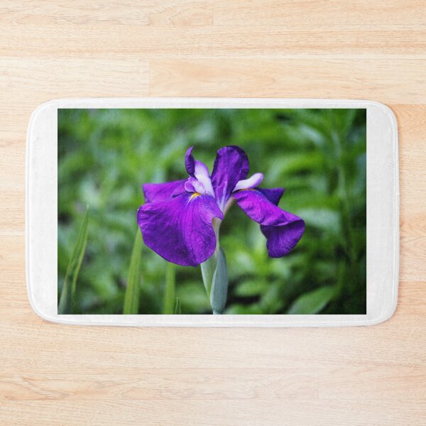 Item preview, Purple Iris designed and sold by Cynthia48.