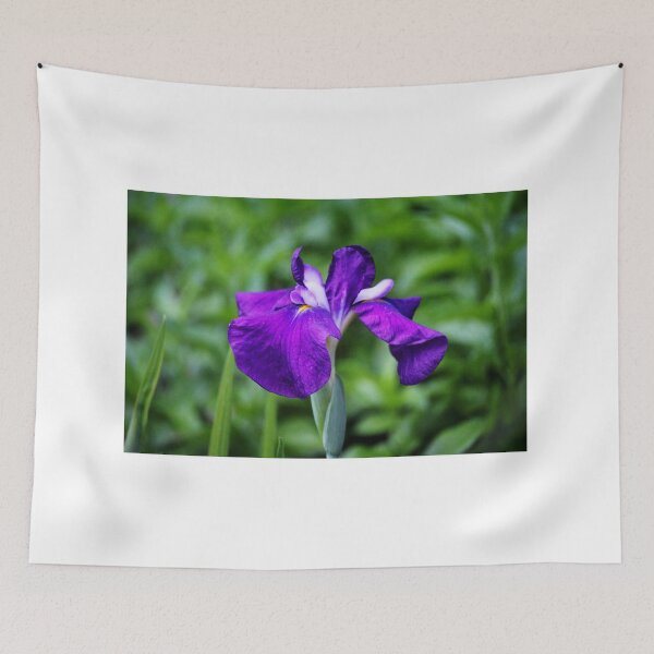 Item preview, Purple Iris designed and sold by Cynthia48.