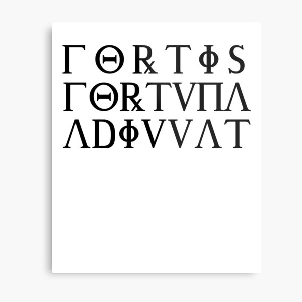 [43+] Fortis Fortuna Adiuvat John Wick Tattoo Ruecken