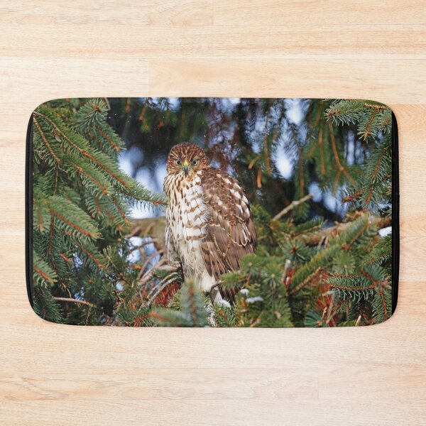Item preview, Raptor Eye Contact  designed and sold by Deb Oppermann.