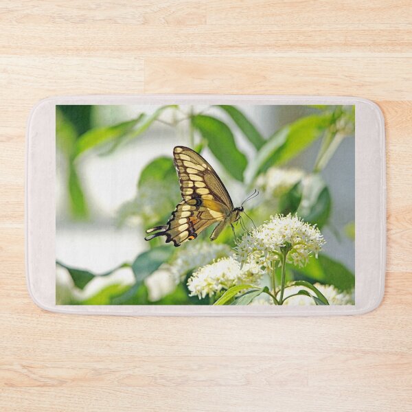 Item preview, Giant Swallowtail On White Blossoms designed and sold by Deb Oppermann.