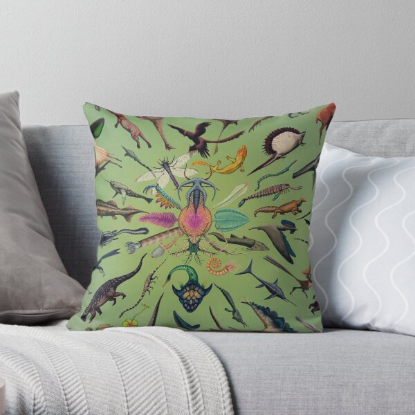 Throw pillows 2019 cheap