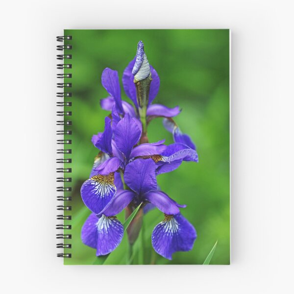 Item preview, Siberian Iris Elegance designed and sold by Deb Oppermann.
