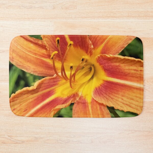 Item preview, Day Lily Close Up designed and sold by MooseDogPhotos.