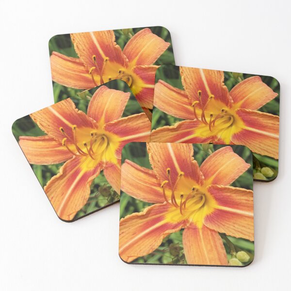 Item preview, Day Lily Close Up designed and sold by MooseDogPhotos.