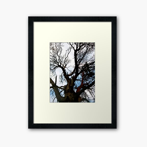 climber Framed Art Print