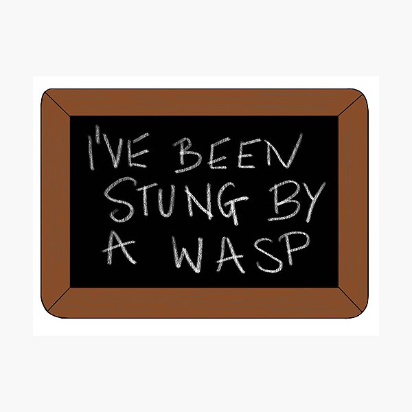 Fleabag - I’ve been stung by a wasp Photographic Print