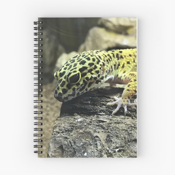 Item preview, Leopard Gecko Close-Up designed and sold by Liam  Philipson.