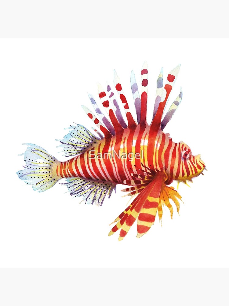 Thumbnail 4 von 4, Kissen, Feuerfisch designt und verkauft von SamNagel.