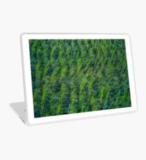 Vinilo para portátil Arroz