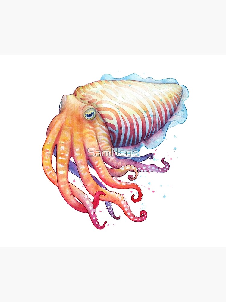 Cuttlefish by SamNagel
