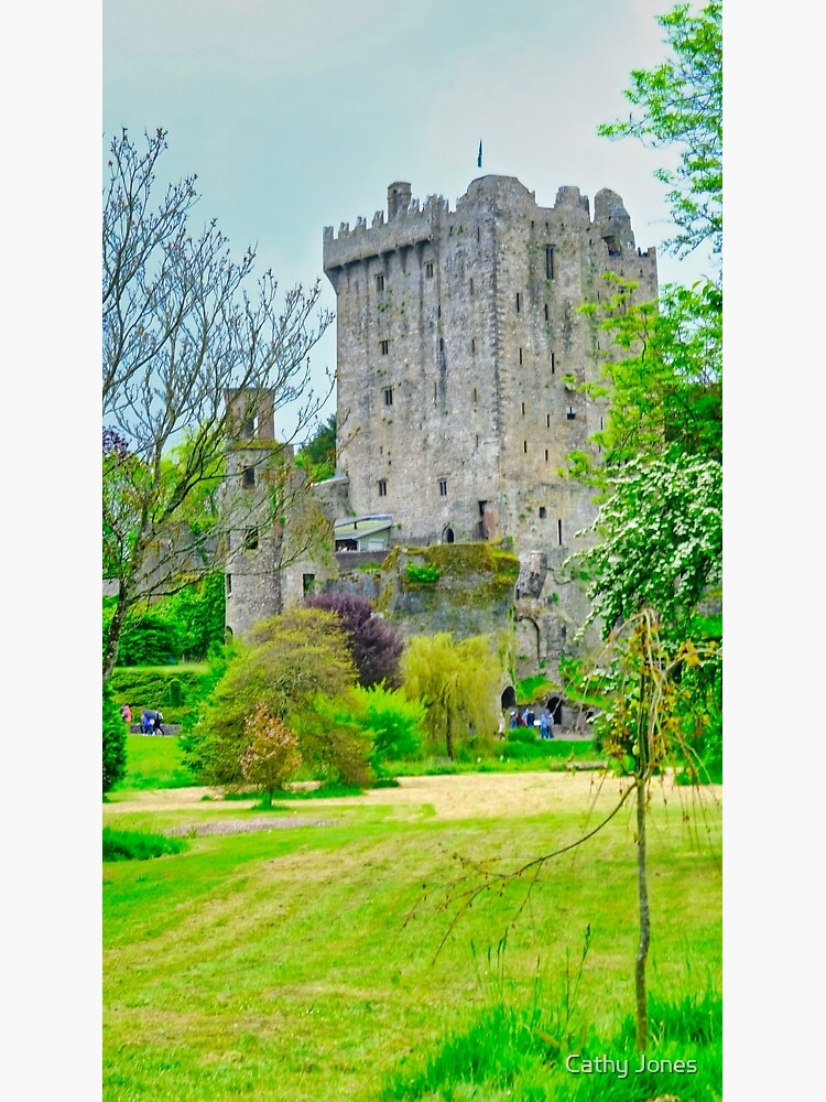 "Blarney Castle" Poster by CathyJones Redbubble