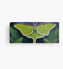 Luna Moth Metal Print