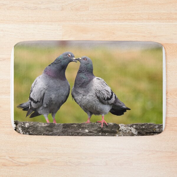 Item preview, Pigeon kiss designed and sold by GreyFeatherPhot.