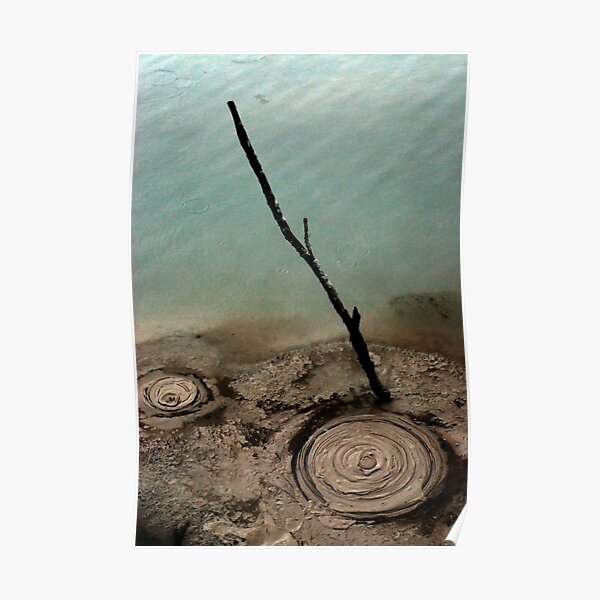 Natural Circles Poster