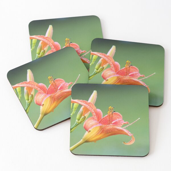 Item preview, Ditch Lily designed and sold by Frankie Cat Photography.