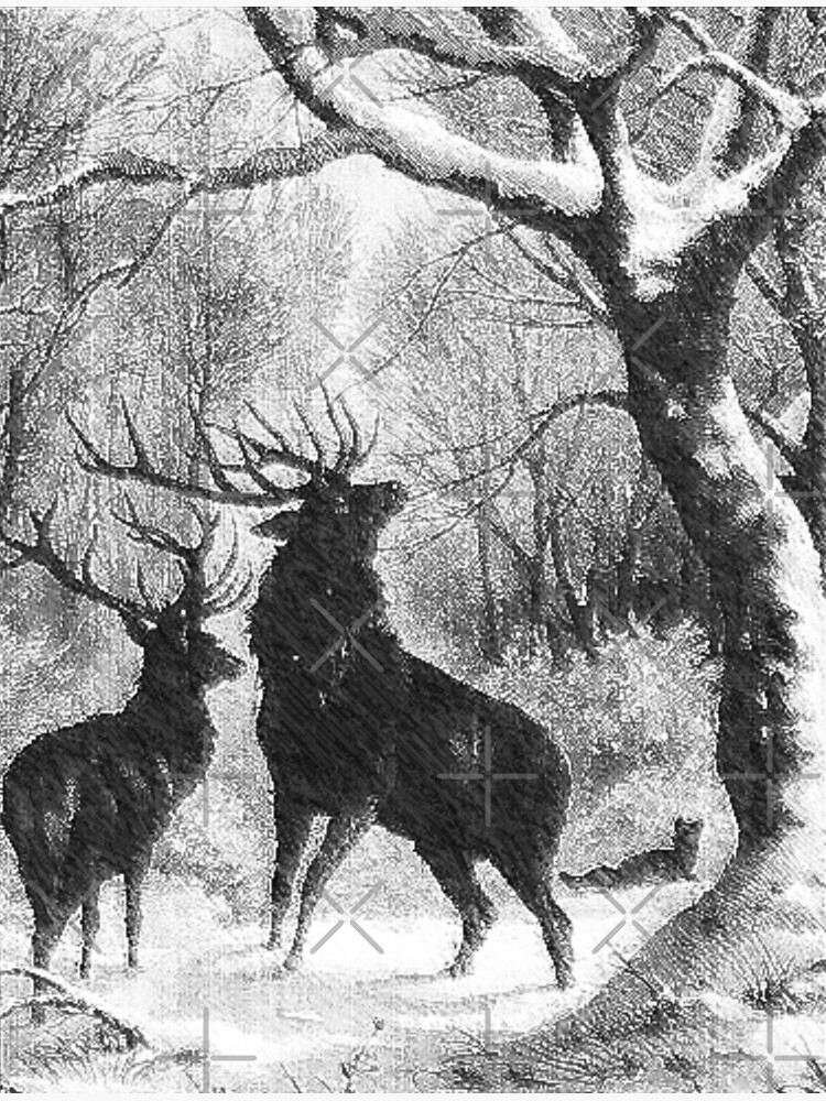 Disover Woodland Winter Sketch Greeting Card