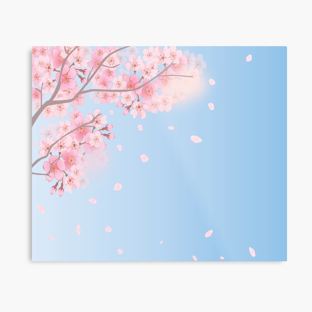Cherry Blossom Tree Drawing - Cherry Blossom Tree Easy Drawing - Free  Transparent PNG Clipart Images Download