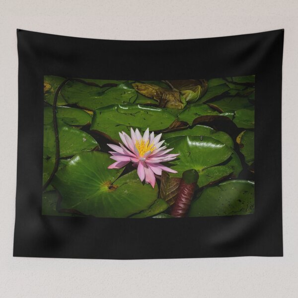 Item preview, Beauty Stands out designed and sold by Unwritten.