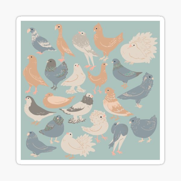 Fancy Pigeons Sticker