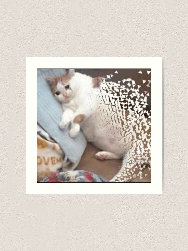 thanos snapped cat