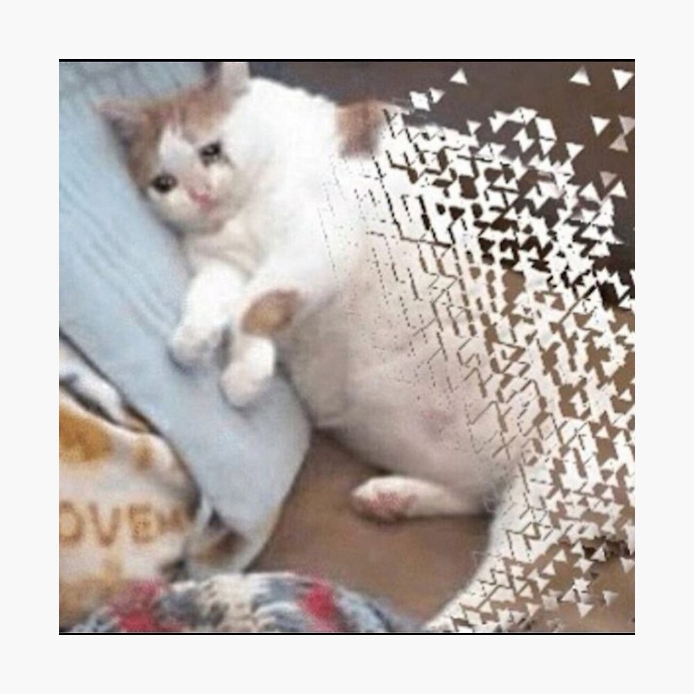 Thanos cat clearance