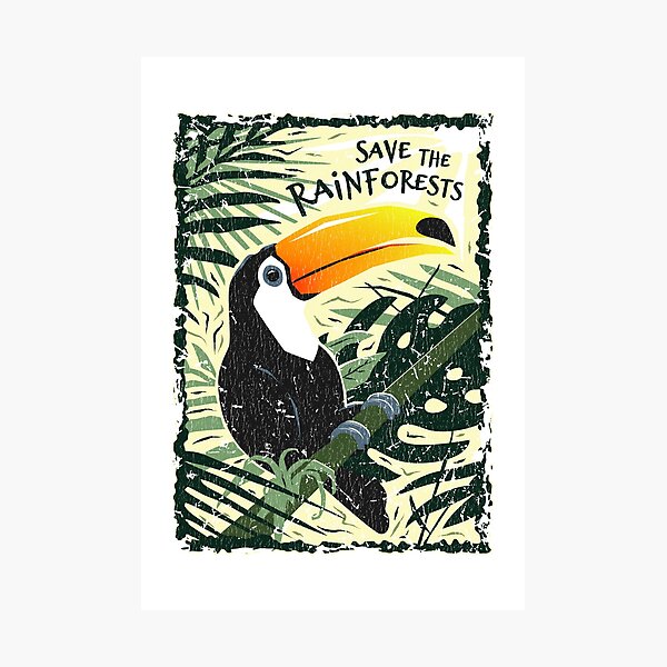 Toucan - Save the Rainforests - Vintage Style Photographic Print