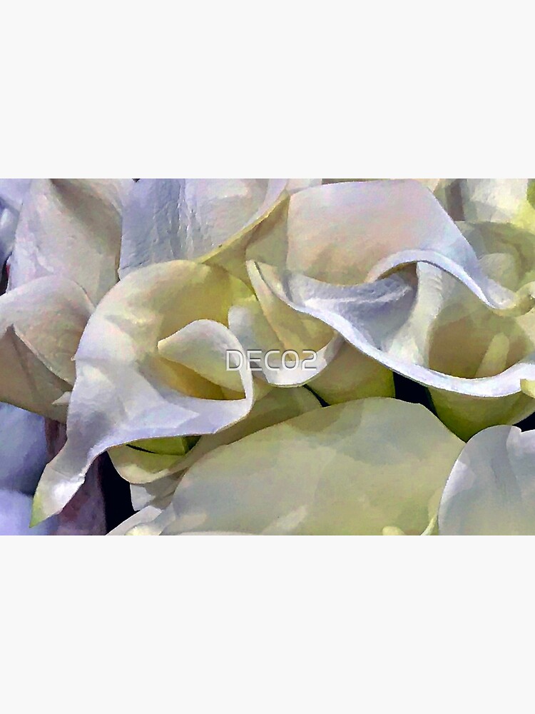 Disover Ivory Lilies of Elegance and Grace Art Photo Bath Mat
