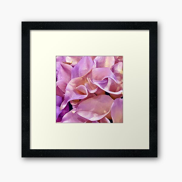Item preview, Lilac-Pink Pastel Calla Lilies Art Photo designed and sold by DEC02.