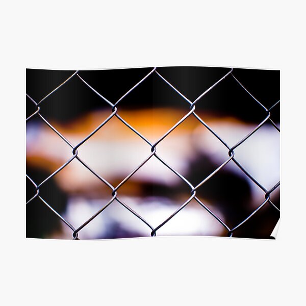 Looking Through the Fence Poster