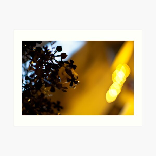 Golden Brown Art Print