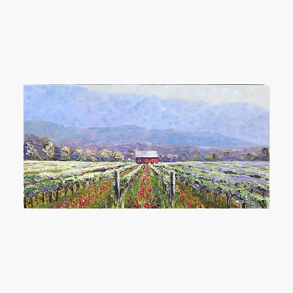 Item preview, Napa Vineyard designed and sold by Rob Buntin.