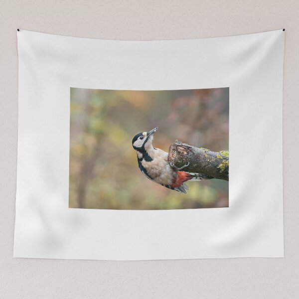 Item preview, Great Spotted Woodpecker Female designed and sold by Sue Robinson.
