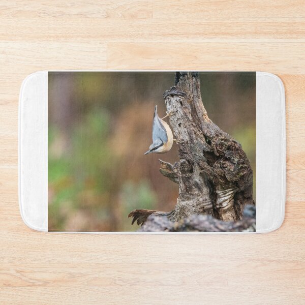 Item preview, Nuthatch in Rain designed and sold by Sue Robinson.