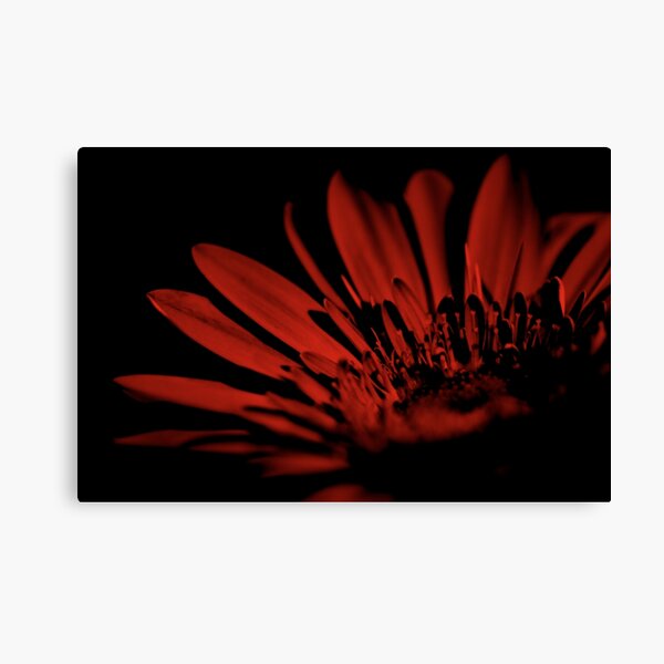 Orange & Black Canvas Print