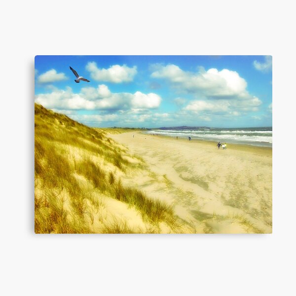 A Stroll on the Beach Metal Print
