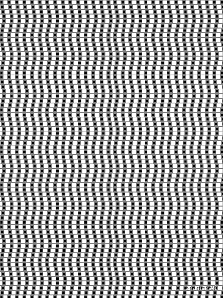 Visual Illusion by znamenski