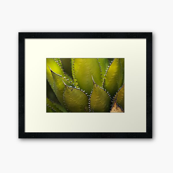 Agave Glow Framed Art Print