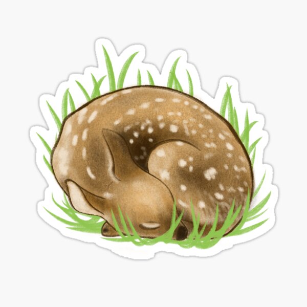 Sleeping Deer Sticker