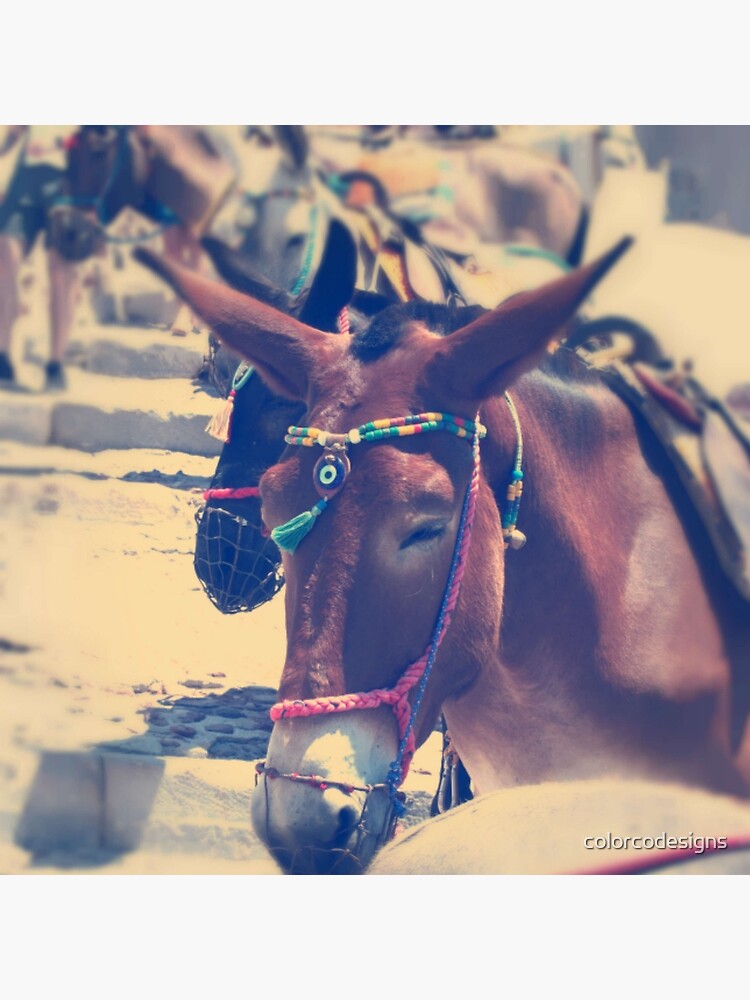 Santorini Donkey by colorcodesigns