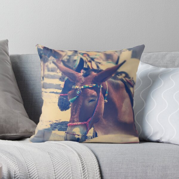 Santorini Donkey Throw Pillow