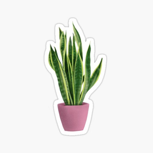 House Plant Sticker Pack » Pip & Cricket