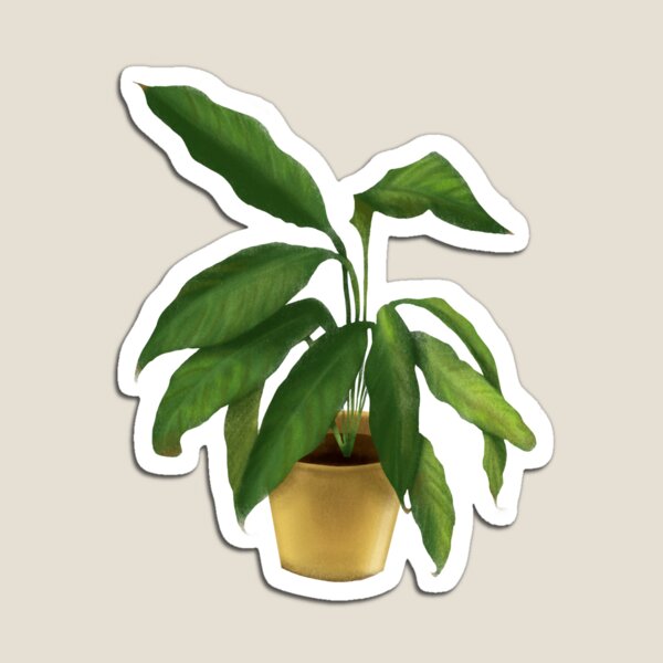 Peace Lily Magnet
