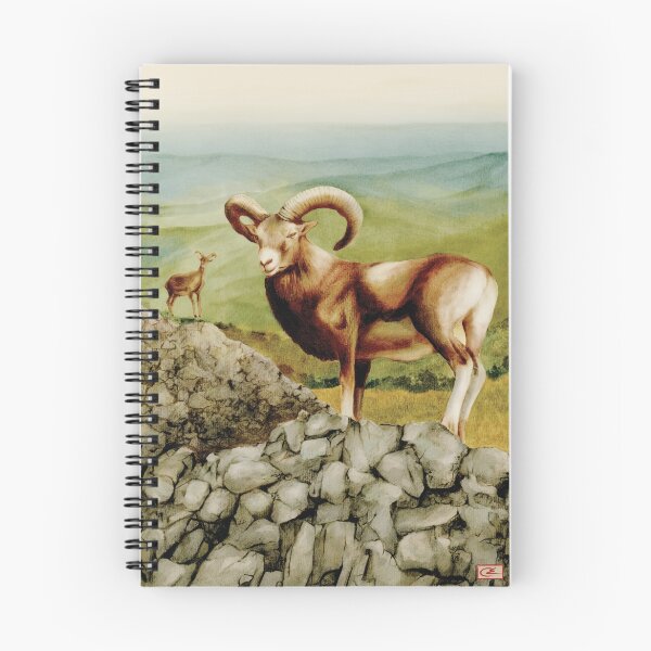 Item preview, Moufflon - colour drawing designed and sold by talesofcyprus.