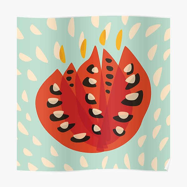 Abstract Red Tulip Flower In Spring Poster