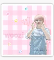 pink: Woozi Sticker