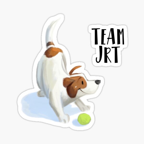 PIXEL colored jrt team Sticker