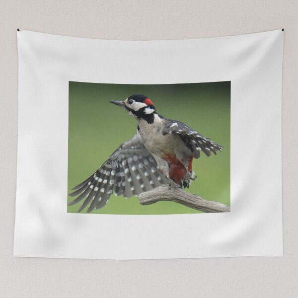 Item preview, Great Spotted Woodpecker designed and sold by Holmewood.